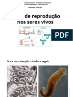 Tipos de Reproducao Nos Seres Vivos