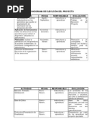 Cronograma de Ejecución Del Proyecto