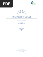 Manual Excel PDF