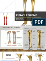 Fracturas de Tibia y Peroné