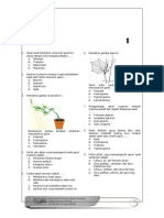 Gerak Pada Tumbuhan 1