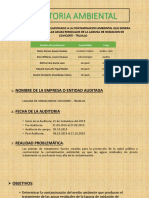 Exposición Auditoria Ambiental