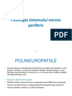 Sistemul Nervos Periferic 2018 Text PDF