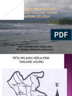 Analisa Data Profil Puskesmas Tanjung Agung Kabupaten Lampung