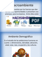 El Macroambiente 2