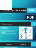 Sistema Nervioso - PPTX SOL