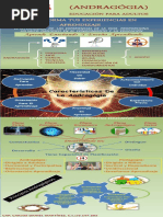 INFOGRAFIA CDM Fin