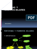 S23. Porfirinas y Pigmntos Biliares