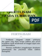 Fertilisasi Pada Tumbuhan