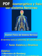 Examen Fisico Bioenergetico Sistema Nervioso