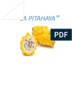 Informe DE LA Pitahaya