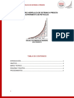 Preinforme Experimento de Reynolds