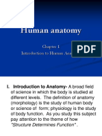 Human Anatomy Chapter 1 Introduction To Human Anatomy