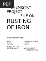 Chemistry Project File On: Rusting of Iron