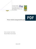 Proiect Managementul Performantei