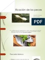 Clasificación de Los Peces