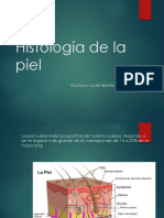 Histología de La Piel