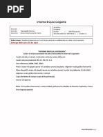 Asignación 02 Informe Brújula Suspendida