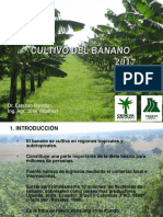 Cultivo de Banano 2017 PDF