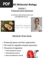 Prokaryotic Gene Expression