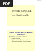 Aula 3 - Tecido Glandular PDF