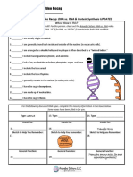 Dna Vs Rna and Protein Synthesis Updated Recap by Amoeba Sisters