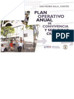 Plan Operativo Anual 2019 - SPS