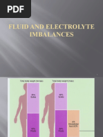 Fluid and Electrolyte