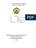 LAPORAN PRAKTIKUM IRIGASI DAN DRAINASE Leo