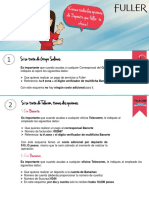 Infografia PAGOS - FULLER