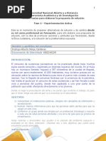 Anexo Pautas para La Elaboración de La Propuesta de Solución