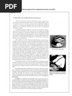 Fisica y Quimica-Seguridad Vial