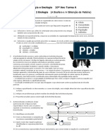 TesteBioGeo Tema1e2Bio PDF