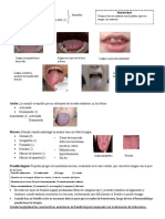 Examen Intraoral