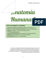 wuolah-free-ANATOMÍA HUMANA I PDF