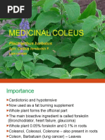 Coleus