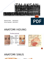 Tumor Sinonasal