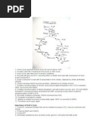 Kreb Cycle