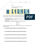 DNA Pairing WS