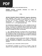 Informe Peridcial PDF