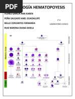 Antología Hematopoyesis