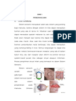 Makalah Sistem Sensorik Anatomi Dan Fisiologi