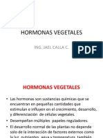 Hormonas