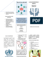 Salud Mental Triptico