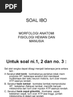 Soal Ibo