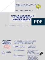 Clase Edema Cerebral Eerc