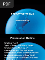 Effective Teams: Nana Defie Badu