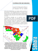 Simulador de Recuperacion Secundaria PDF