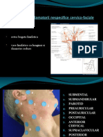 Limfadenitele Inflamatorii Nespecifice Cervico-Faciale 1997