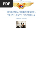 Guia de Responsabilidades para TDC